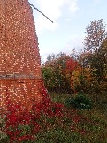 2023-10-06 16-53-39.JPG