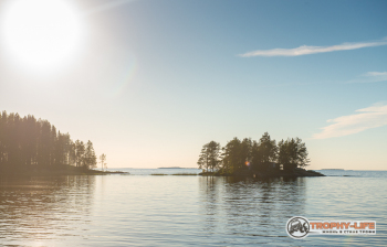 _DSC7962.jpg