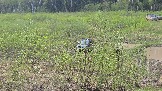 20260510_150413.jpg