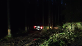 Моментальный снимок 39 (07.11.2023 21-52).png