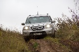 IMG_8708.jpeg