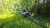 20260606_114919.jpg