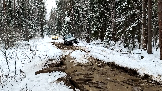 Трофи-лайф фото 4х4 покатушка Дмитрвская Игрушка 07.01.2025 -  (10).png