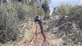 20250426_135741.jpg