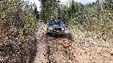 20250426_132659.jpg
