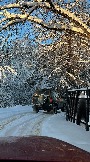 IMG_3613.JPG