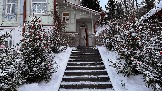 IMG_5704.jpg