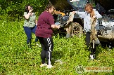 01378п160.jpg