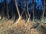 IMG_5670.JPG