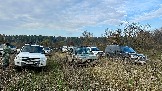 IMG_7573.jpg