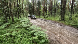 Трофи-лайф фото 4х4 покатушка Шатура - Петушки 14.06.2025 - (67).jpg