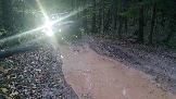 20231011_173731.jpg