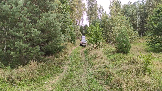 Трофи-лайф фото 4х4 покатушка Каширский зигзаг 17.08.2024 -  (26).png