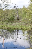 Фото Трофи-лайф 4х4 покатушка Мещерские Озёра 6-9.05.23 - 114.jpg