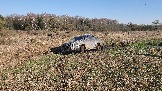 20250420_165811.jpg
