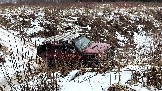 Трофи-лайф фото 4х4 покатушка Рогачевские Сокровища  08.02.2025 - (22).jpg