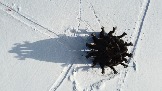 DJI_0917.JPG