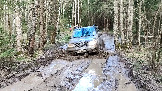 Трофи-лайф фото 4х4 покатушка Плещеевская Кругосветка 26.04.2025 - (22).jpg