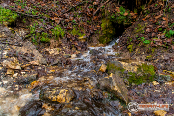 _MG_8360.jpg