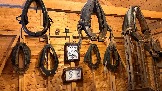 IMG_5962.jpg