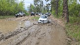 20260510_112102.jpg