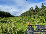 IMG_8813.JPG