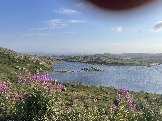 IMG_9312.jpeg