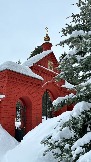 IMG_7703.jpg