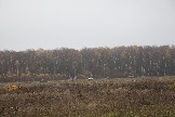AEV_3992.jpg