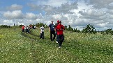 IMG_1288.jpg