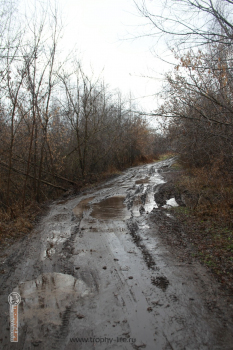 Фото Трофи-лайф 4х4 покатушка Мещерские Скитания 13.11.21 - 128.JPG