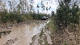 20250426_120232.jpg