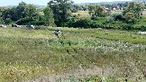 Трофи-лайф фото 4х4 покатушка Можайские Тропы 17.08.2024 -  (65).png