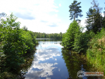 Фото Трофи-лайф 4х4 покатушка-экспедиция Рязанская Мещера 21-24.08.20 -3.JPG
