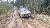 20250426_125633.jpg