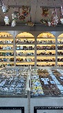 IMG_7805.jpg