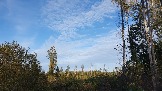 20231011_155531.jpg