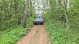 20250518_130259.jpg