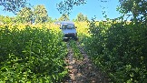 20260801_123713.jpg