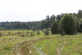 LKV_1602.JPG