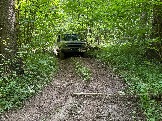 IMG_1037.JPG