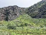 IMG_9443.jpeg