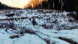 Трофи-лайф фото 4х4 покатушка Гремячий Ключ 22.02.2025 -  (84).jpg