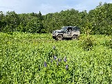 IMG_8795.JPG