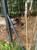 IMG_20260613_135123_224.jpg