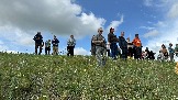 IMG_1299.jpg