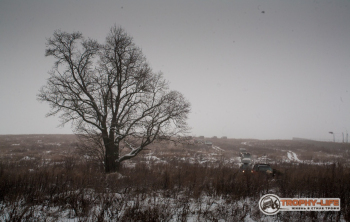 _MG_9976.jpg