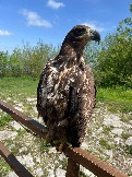 IMG_8810.JPEG