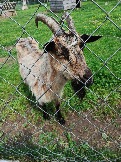 IMG_20260613_135453_442.jpg