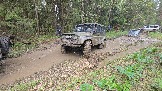 20260510_131111.jpg